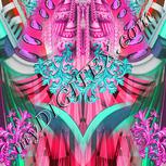 Colour:B