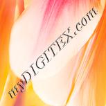 Colour:J