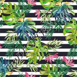 Colour:A