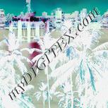Colour:F