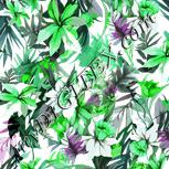 Colour:C