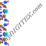 Colour:F