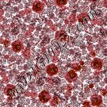 Colour:B