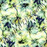 Colour:K