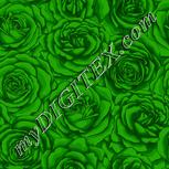 Colour:C