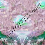 Colour:B