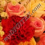Colour:J
