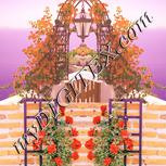 Colour:J