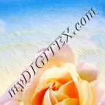 Colour:A