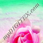 Colour:B