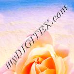 Colour:J