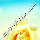 Colour:K