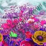 Colour:B