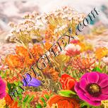 Colour:J