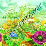 Colour:K