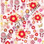 Colour:J