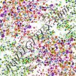 Colour:C
