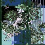 Colour:F