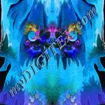 Colour:F