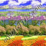 Colour:A