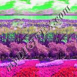 Colour:B