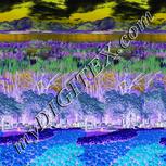 Colour:F