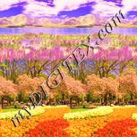 Colour:J