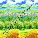 Colour:K