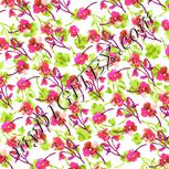 Colour:B
