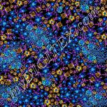 Colour:F