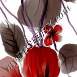 Colour:A