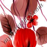 Colour:J