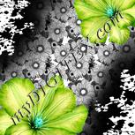 Colour:C