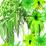 Colour:D