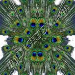 Colour:A