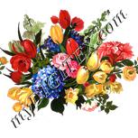 Colour:A
