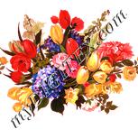 Colour:J