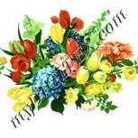 Colour:K