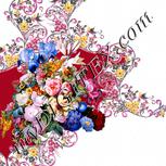 Colour:A