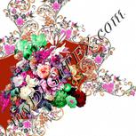 Colour:B