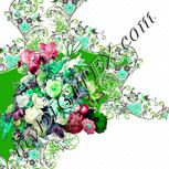 Colour:C