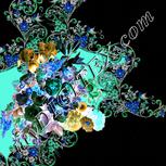 Colour:F