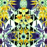 Colour:K
