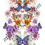 Colour:A