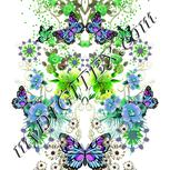 Colour:D