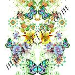 Colour:K
