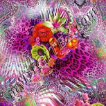 Colour:B