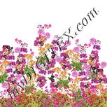 Colour:A