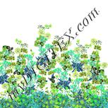 Colour:C