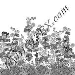 Colour:E
